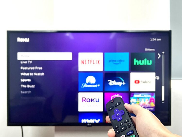 How to Use a Roku Remote to Control the TV Volume? Pointer Clicker