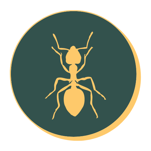 Pest Control Granite Bay, Sacramento Pointer Pest Control