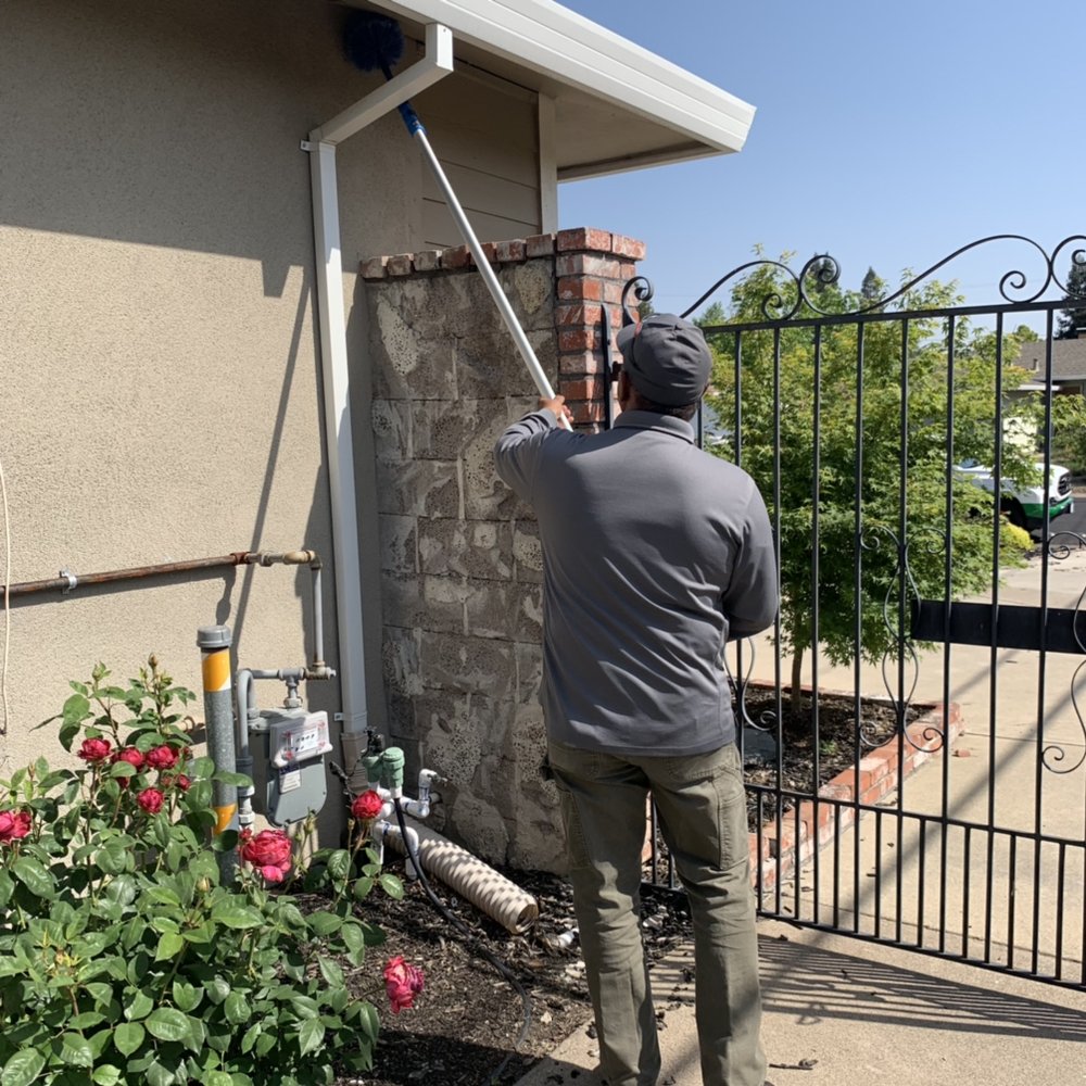 Residential Pest Control Sacramento & Roseville Pointer Pest