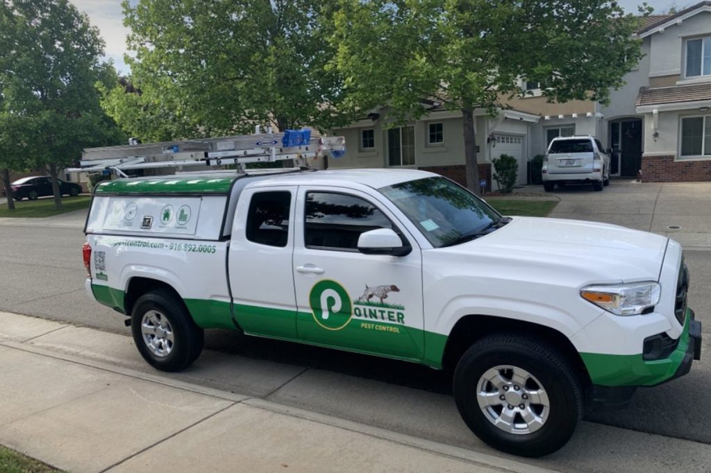 Granite Bay Pest Control Pointer Pest Control