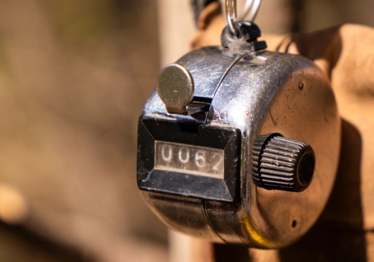 Ours Photos Bird hunting trips in Argentina Pointer WingShooting