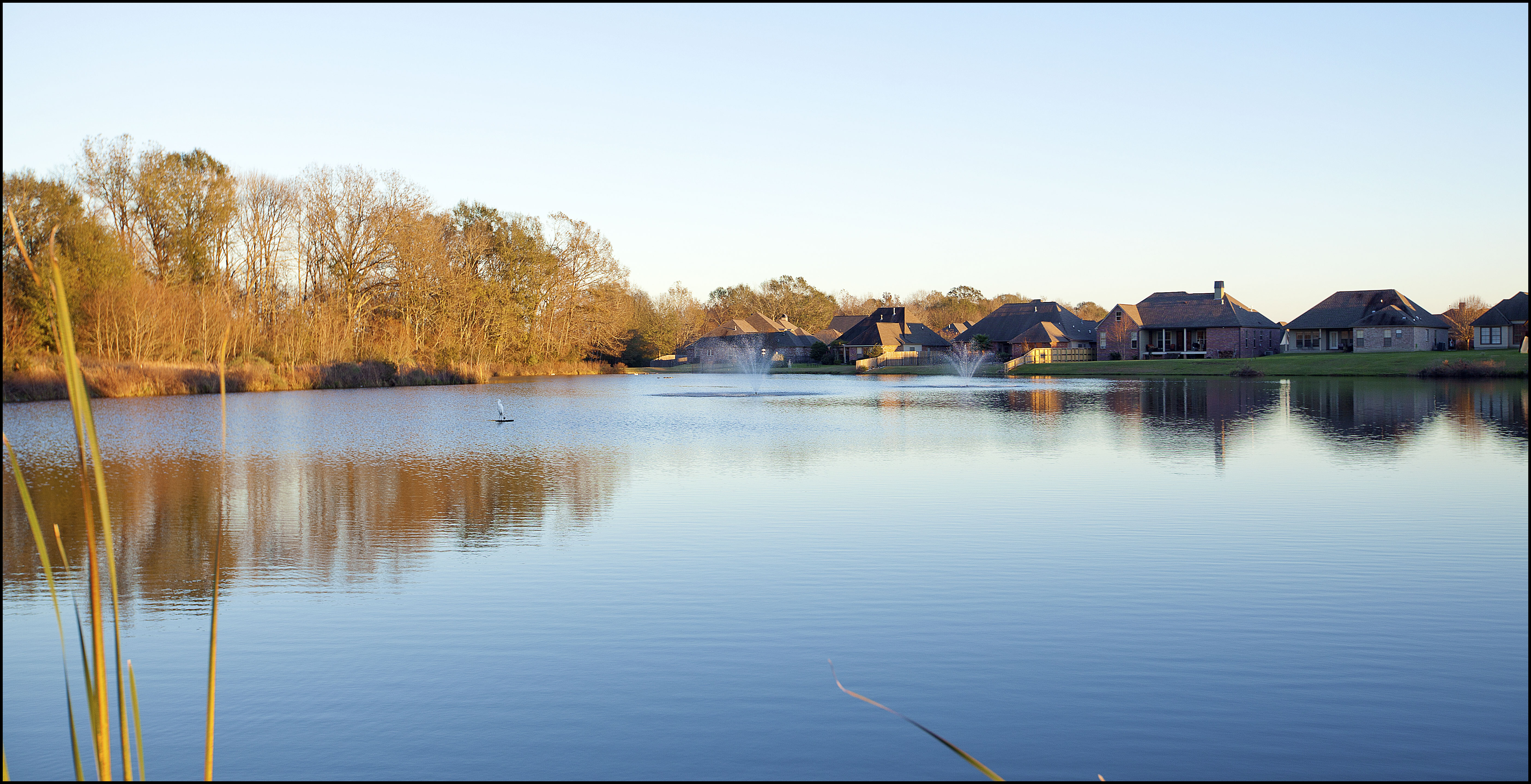 Moss Pointe Homeowners Association at Jeanie Parker blog