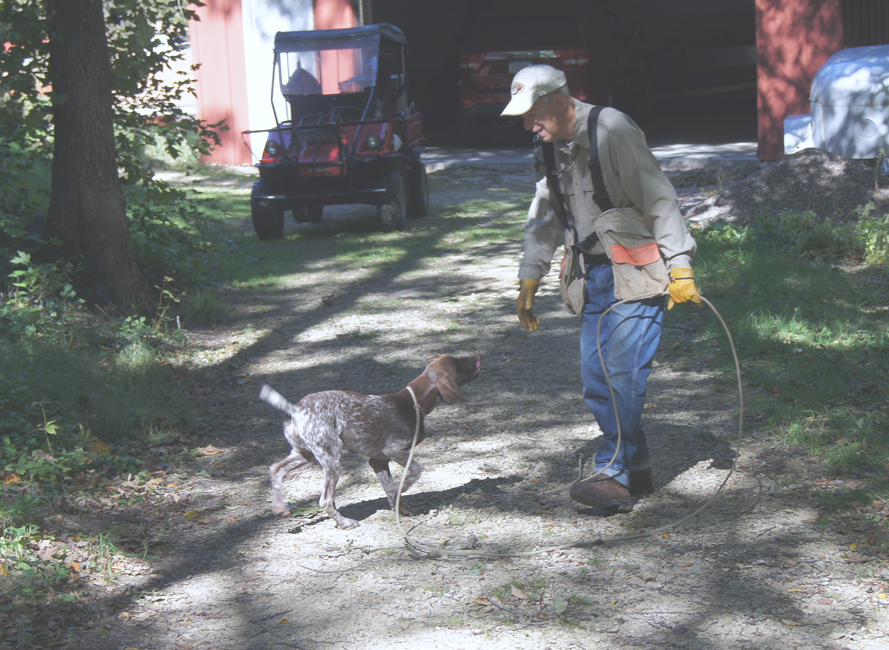 What’s the Best Way to Train Your Pointing Dog? Pointing Dog