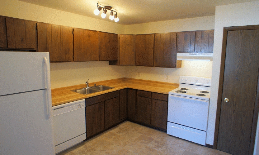 2 Bedroom Cat Friendly Apartment Available for 2024/2025 School Year