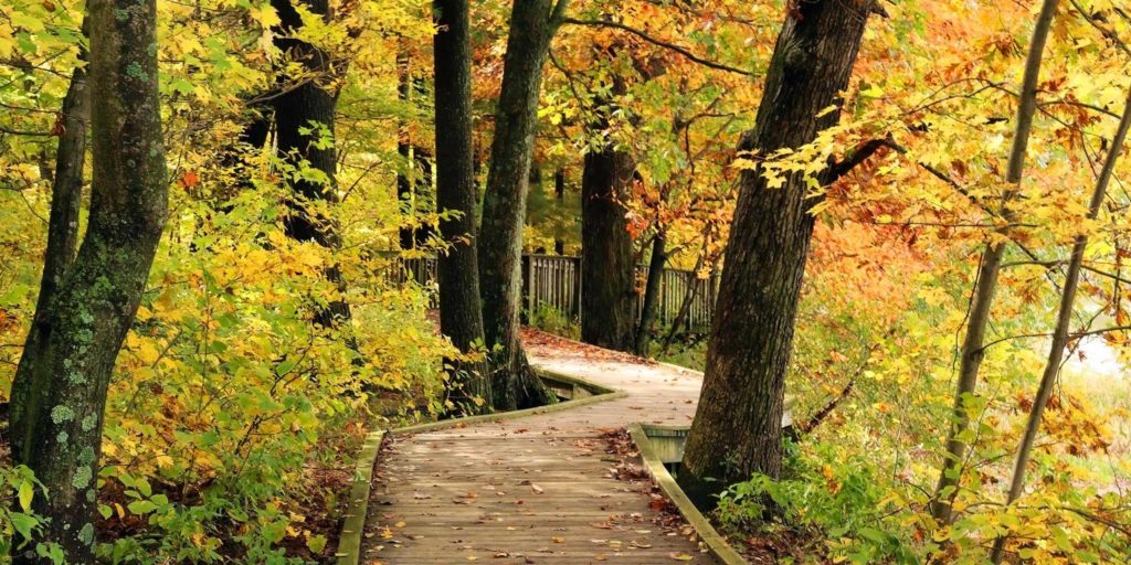 Real Estate Services Southeast Wisconsin Point Real Estate