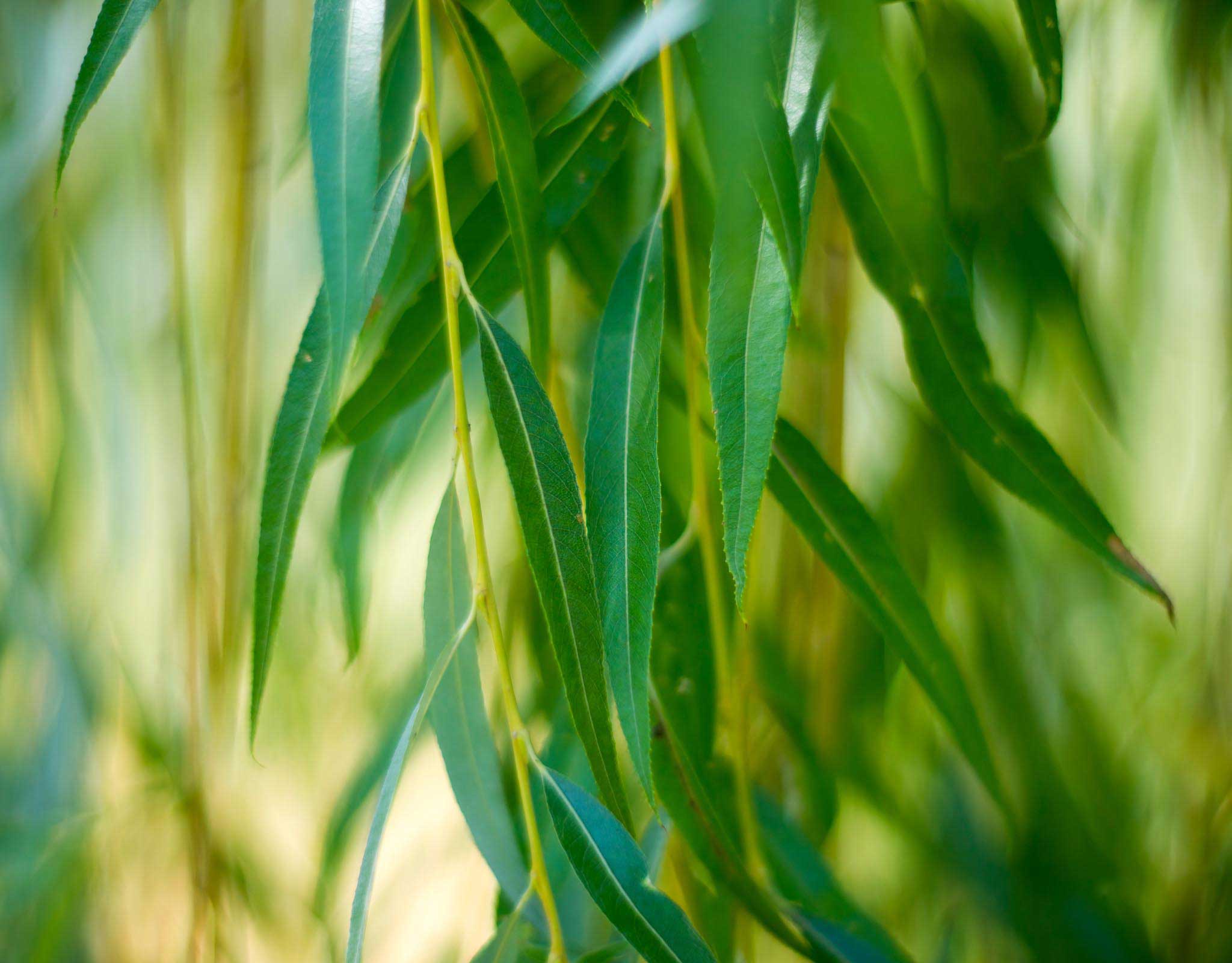 Twin Pine Farm Lisbon, WI Point Real Estate