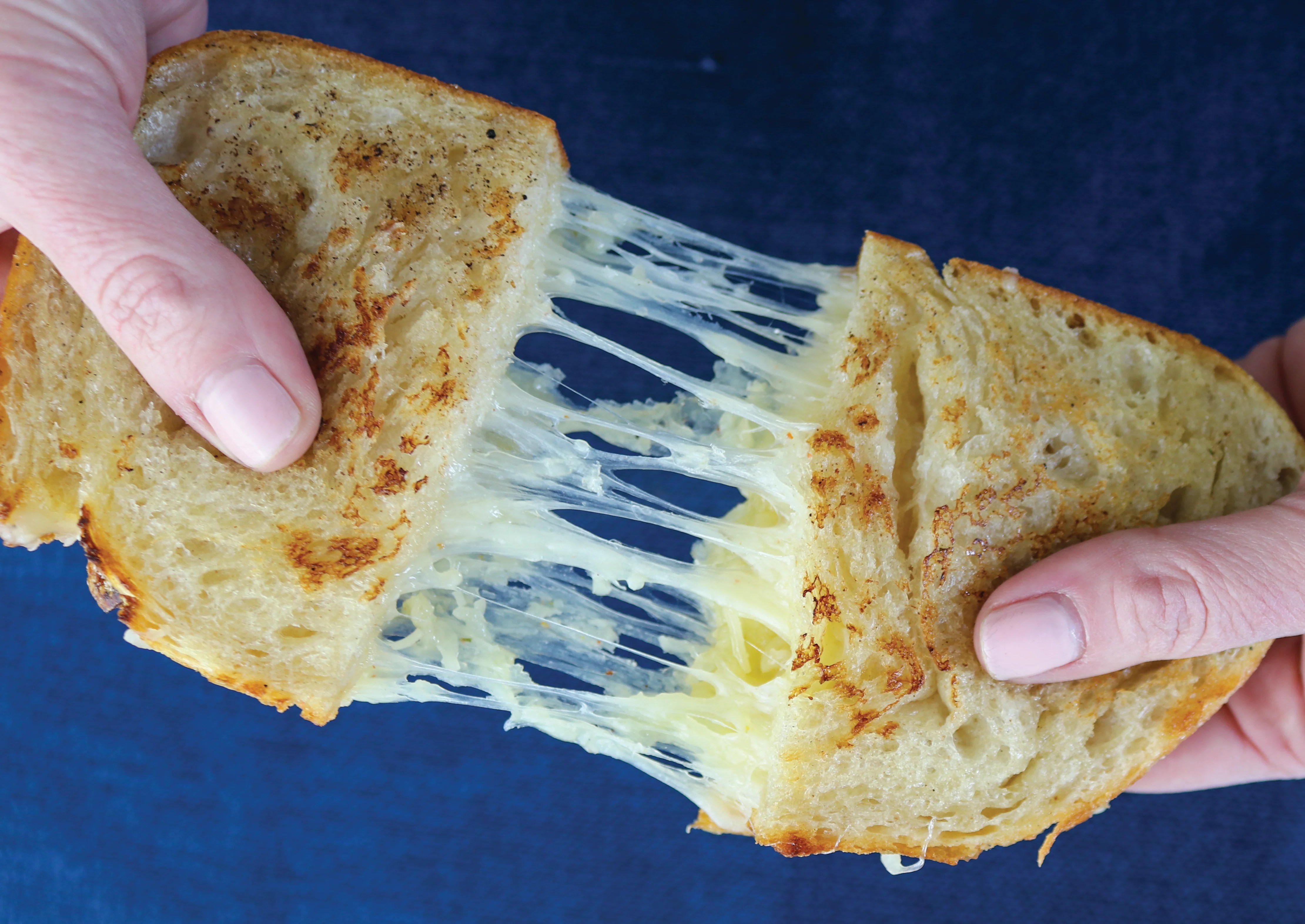 Classic PRFC Grilled Cheese Sandwiches Point Reyes Farmstead Cheese