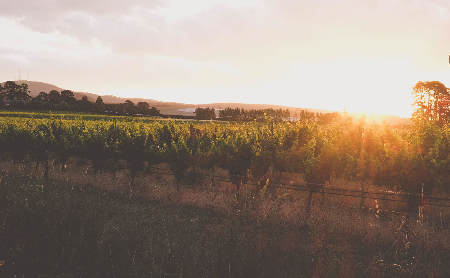 wine2 Point Reyes Station Inn