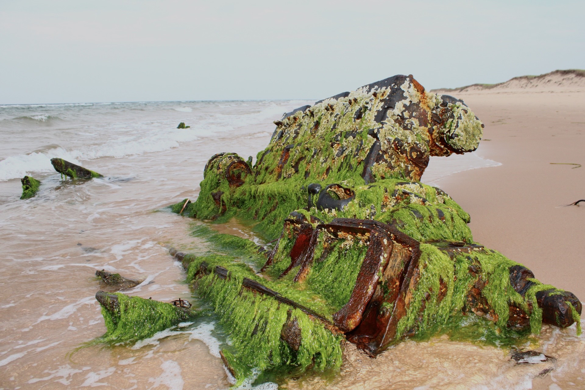 The Shipwreck of Basin Head Beach Points East Coastal Drive Prince