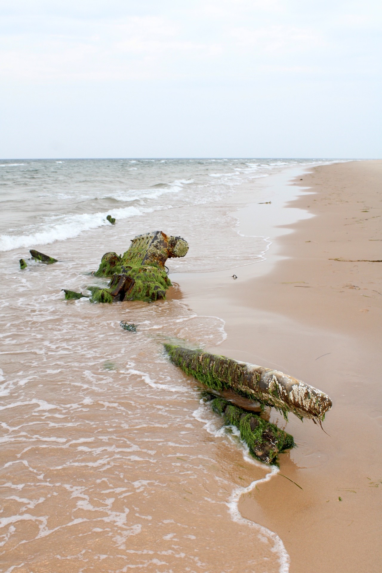 The Shipwreck of Basin Head Beach Points East Coastal Drive Prince