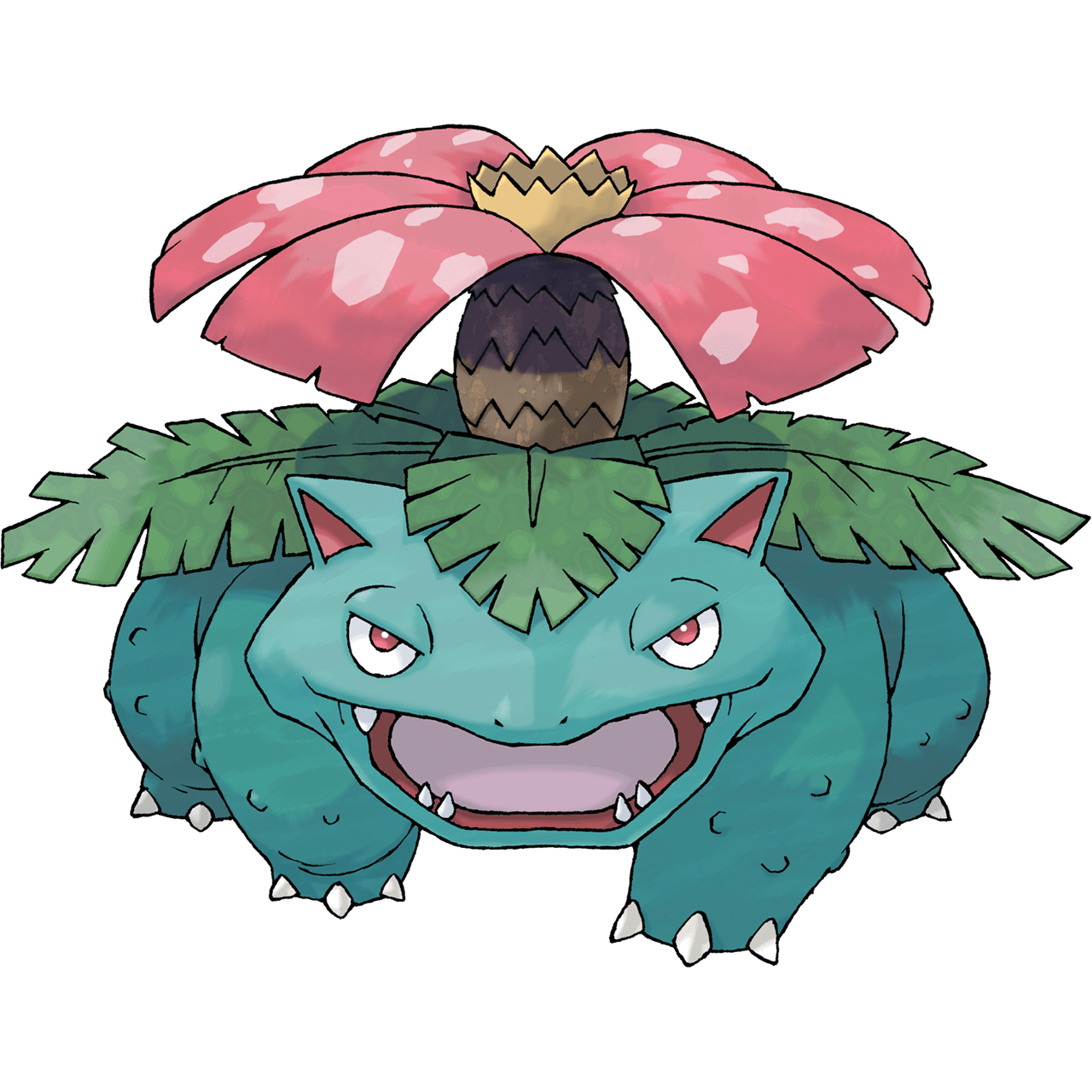 Venusaur Pokémon Card Value & Price PokemonCardValue