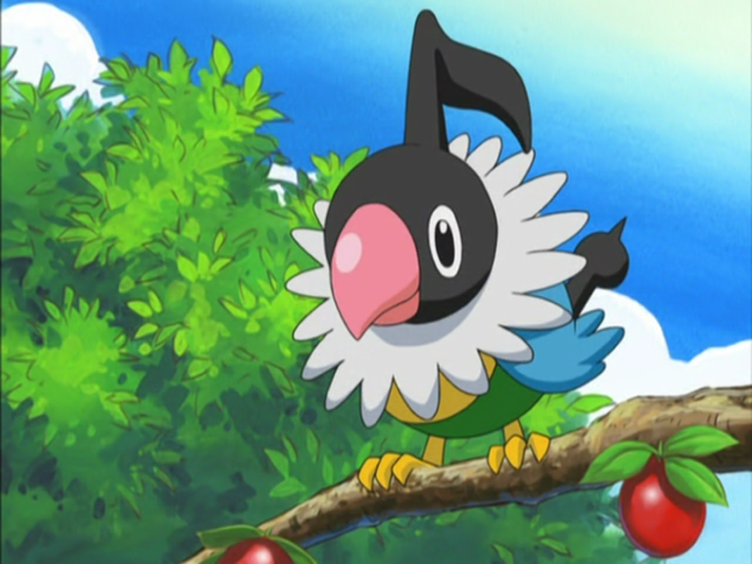 Chatot Pokémon GO Hub