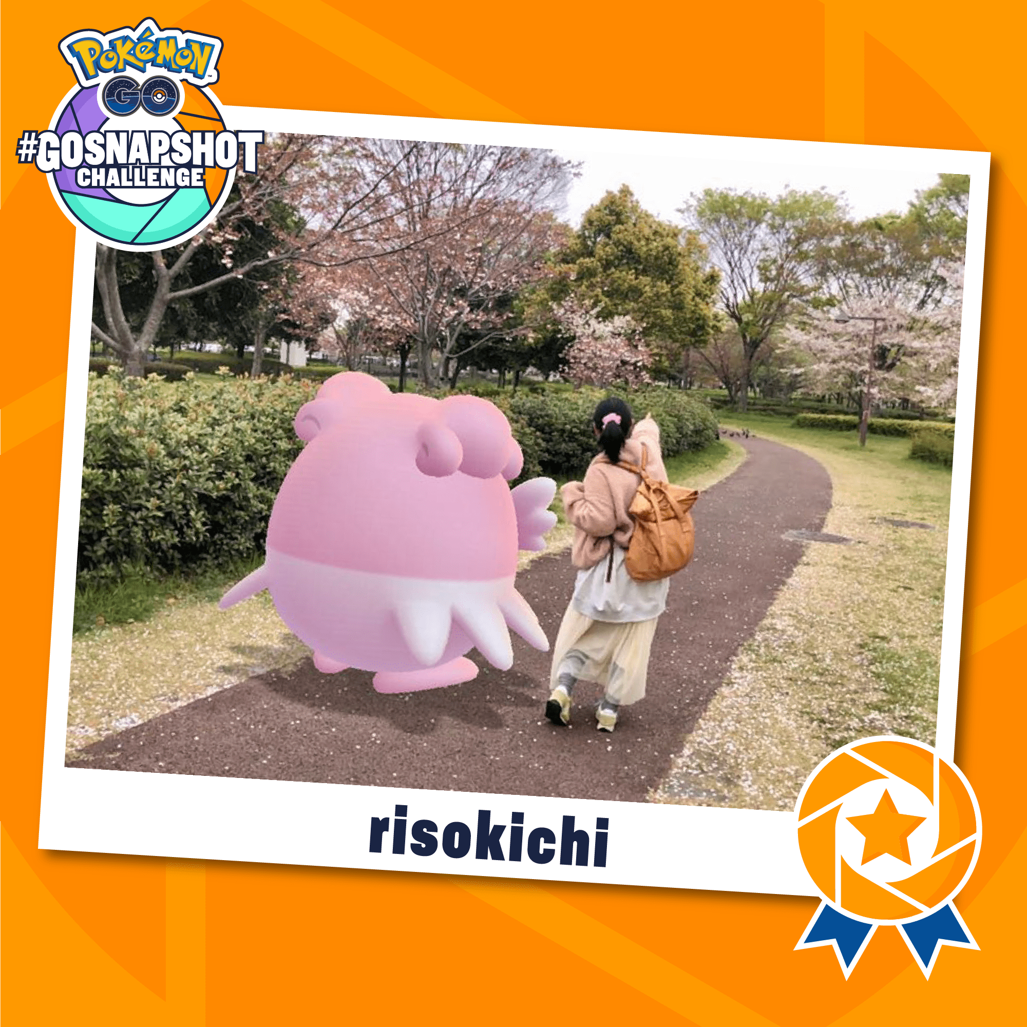 Congratulations to the 2019 GO Snapshot winners! Pokémon GO