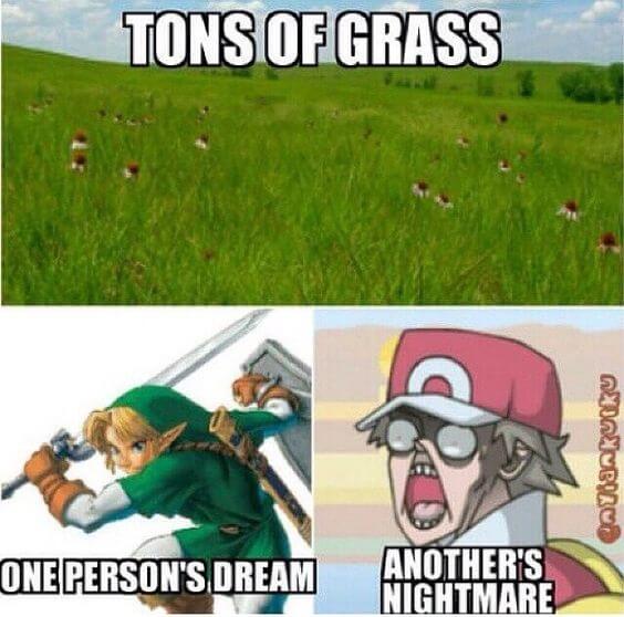 Pokémon vs. Zelda Pokewolf