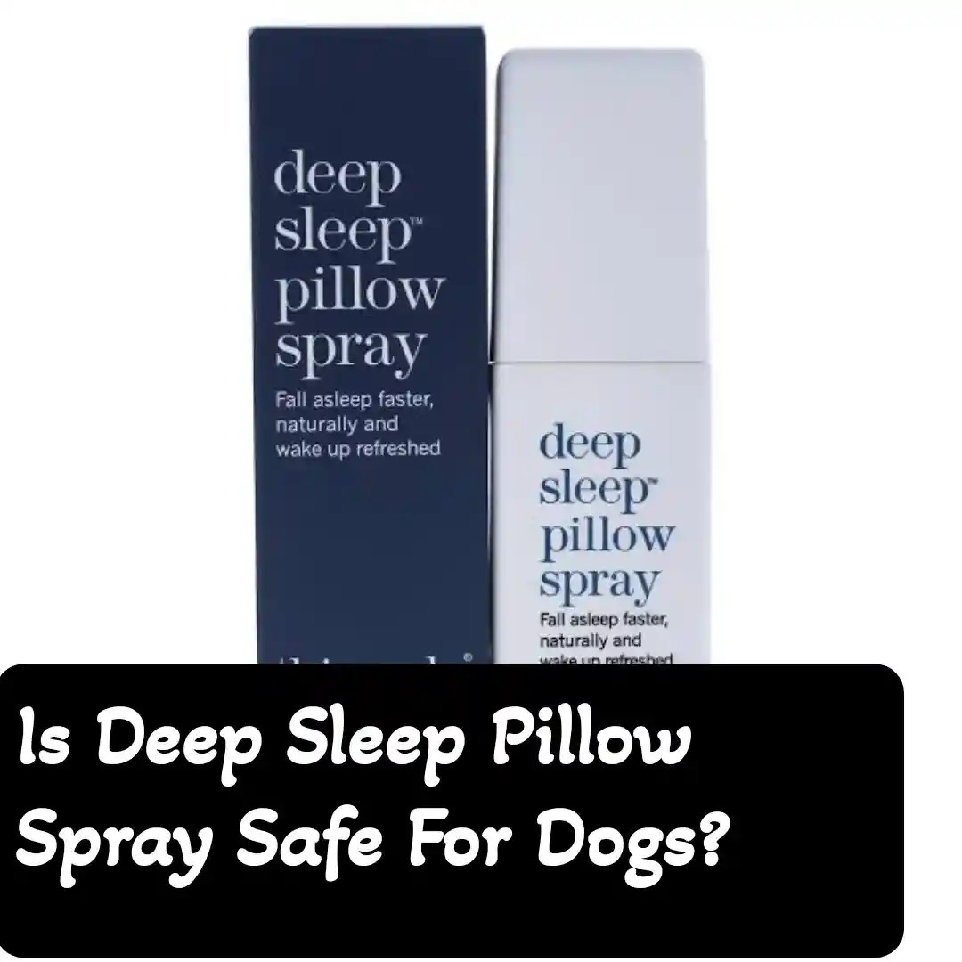 Is Deep Sleep Pillow Spray Safe For Dogs? PokyDogs