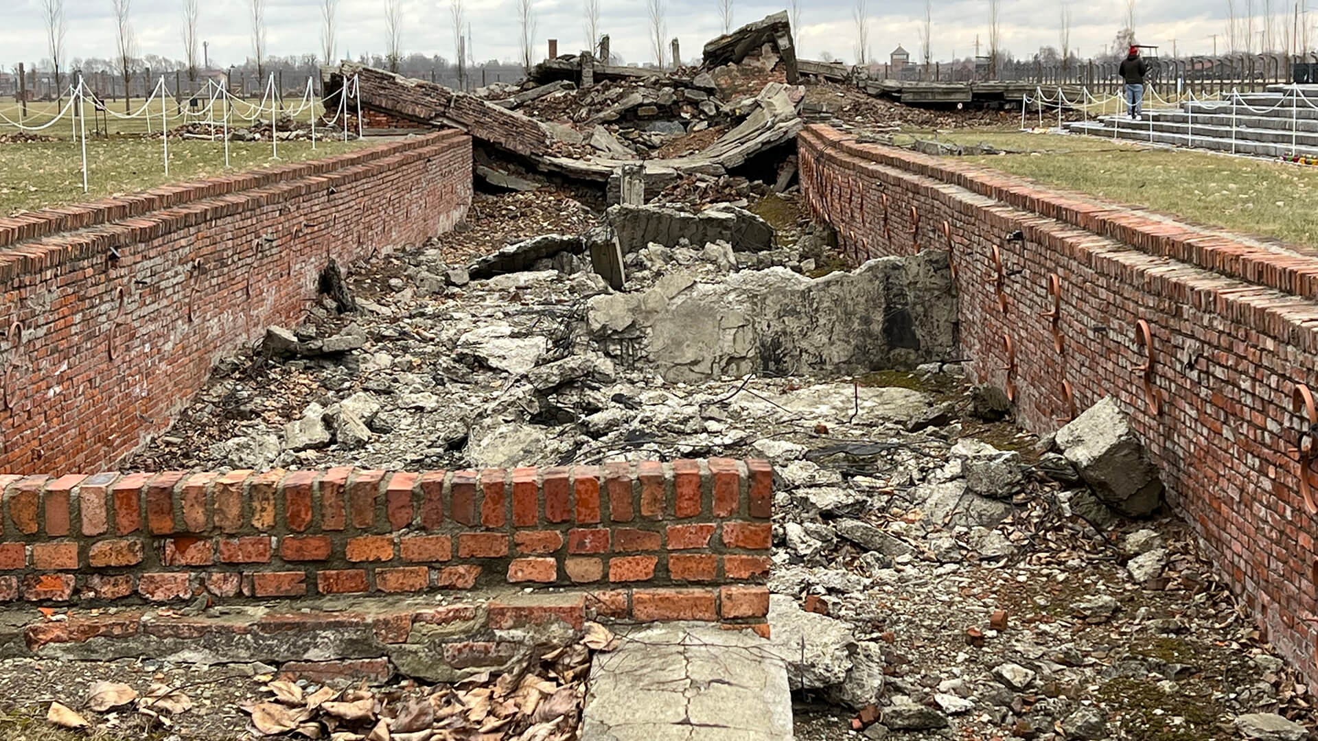 AuschwitzBirkenau Tour from Krakow Poland at War Tours