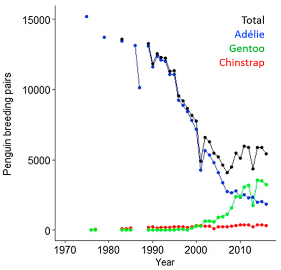 I.D. Antarctica 5 Answer Polar ICE