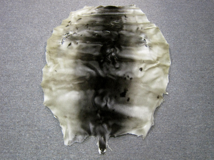 Seal Skins, Harp Seal Skin, Ring Seal Skin