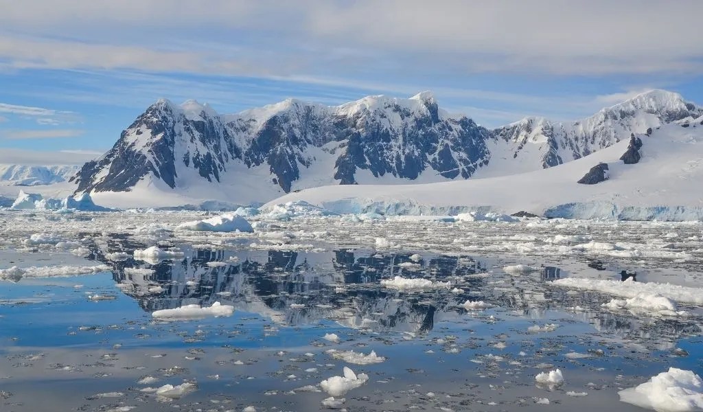 How Does Climate Change Impact Antarctica? How Can We Help in 2023