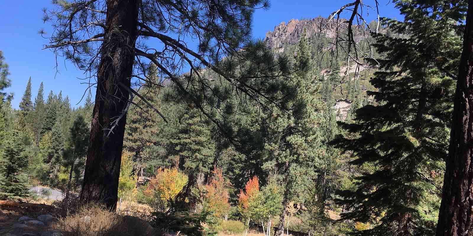 Pole Creek Cabin A Family Thing.