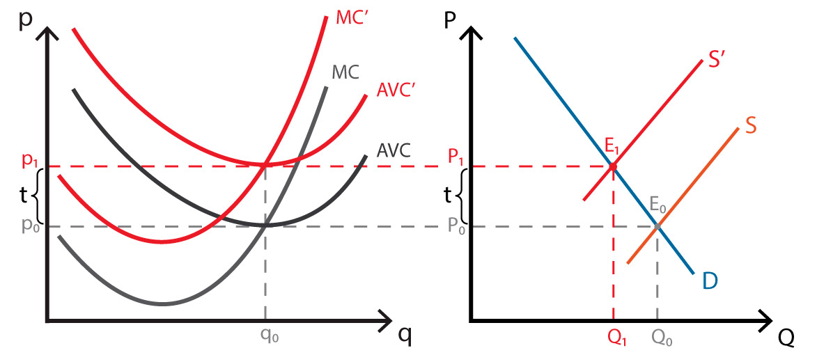 Perfect competition II Taxes Policonomics