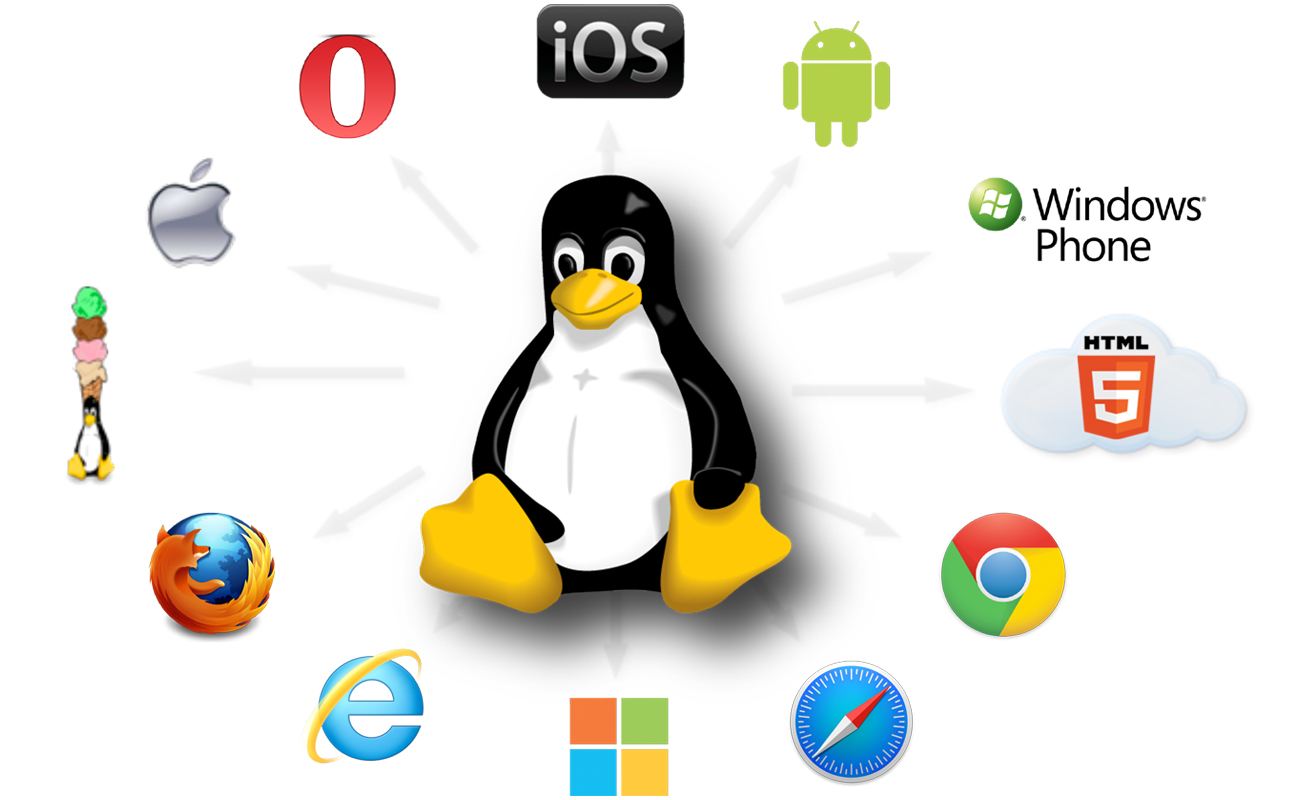 Things Linux OS Can Do That Other OS Can’t Polish Linux