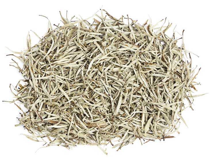 White Tea Wholesale Coffee Suppliers Coffee Roasters Pollards UK