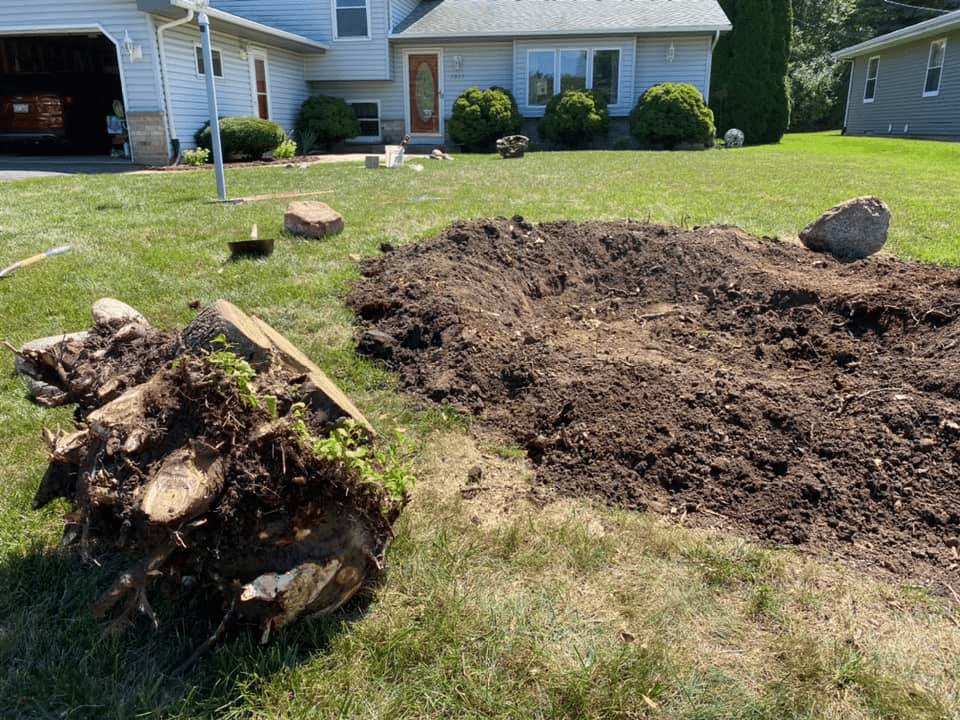 Stump Removal in Kenosha Pollard Tree Industries
