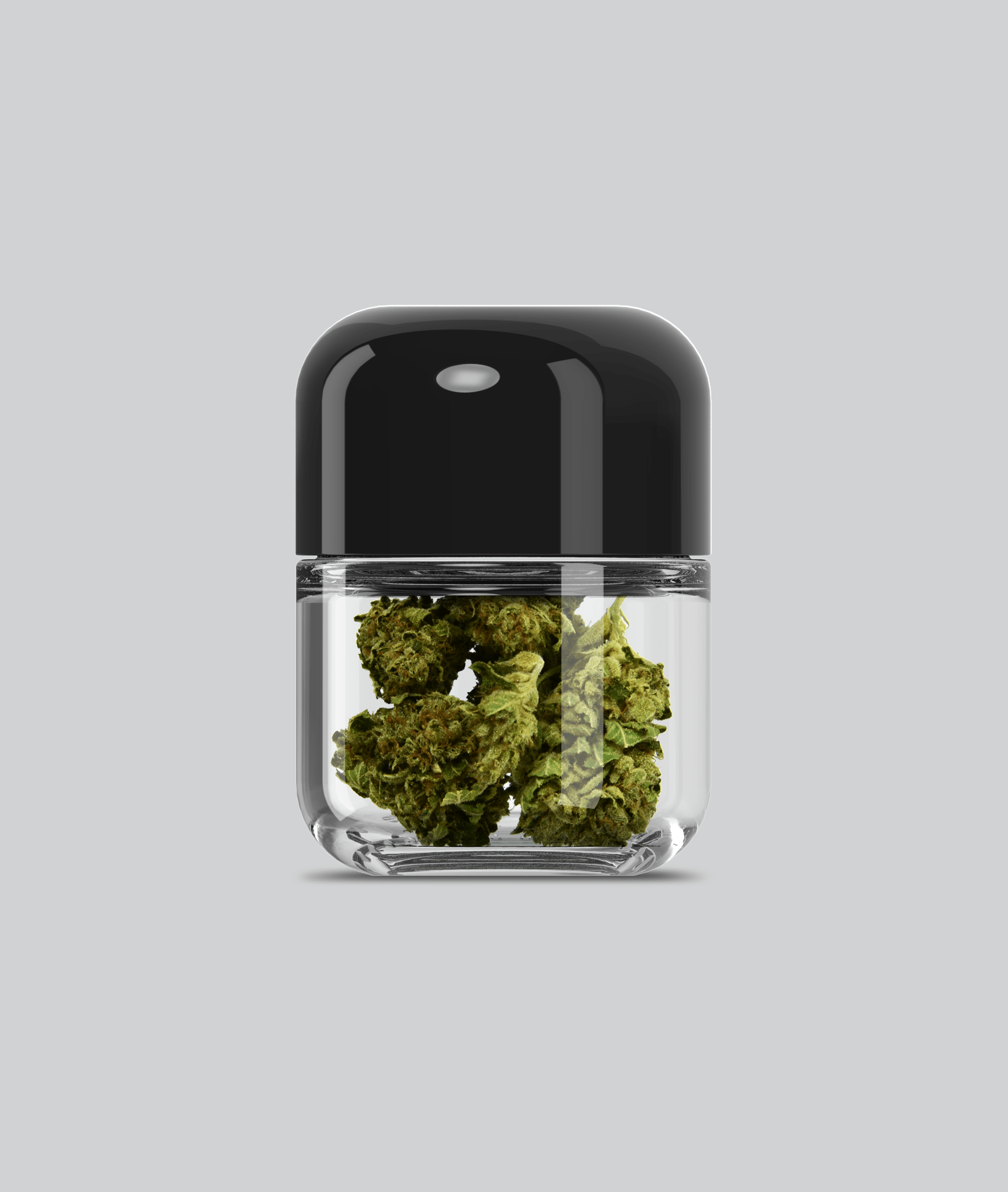 Pollen Gear HiLine Jars CBD