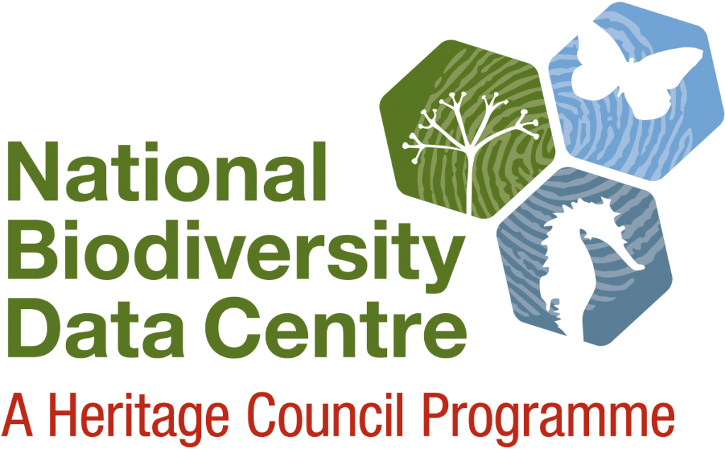 bee festival 2023 Skerries Wild Bee Festival 2022 » AllIreland Pollinator Plan