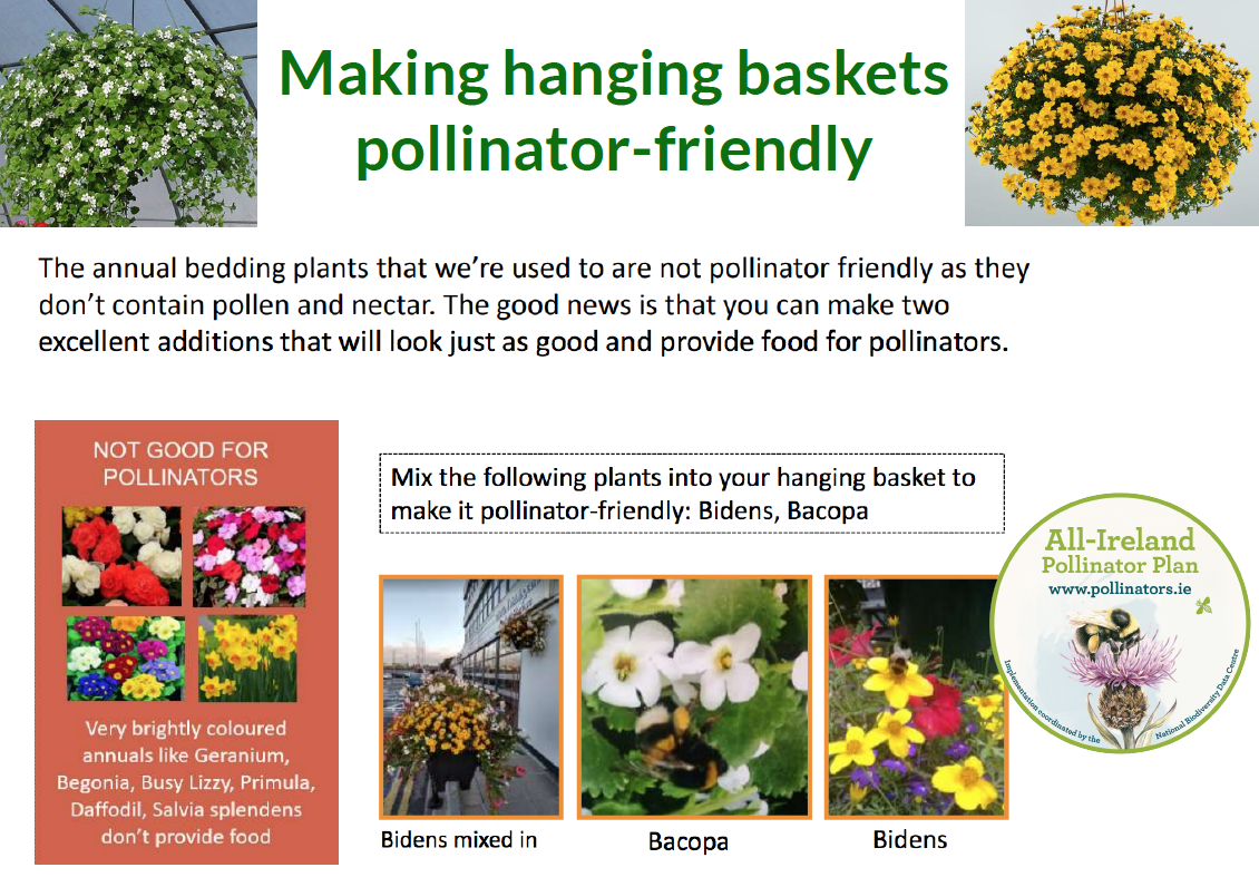 Pollinatorfriendly Planting Schemes » AllIreland Pollinator Plan