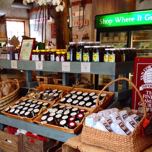 Holbrook Farm Under New Management Polly Castor