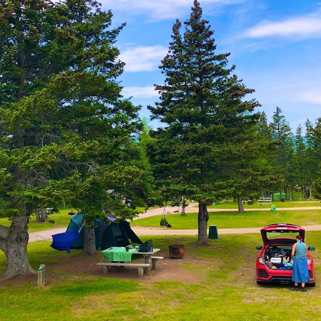 Day 14 Ingonish Beach Campground, Nova Scotia Polly Castor