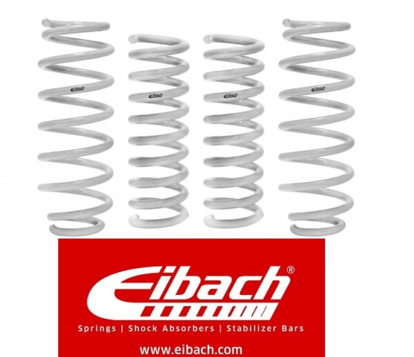 Eibach performance drag launching springs supercharged 20152023 Dodge