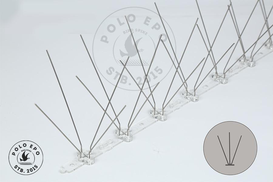 How To Get Rid Of Pigeon Repellent Best quality bird spike