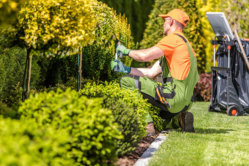 Lawn Care Polo Landscapes, Dallas, Texas