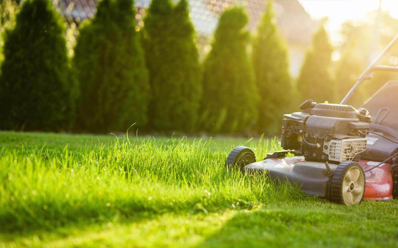 Home Polo Landscapes, Dallas, Texas