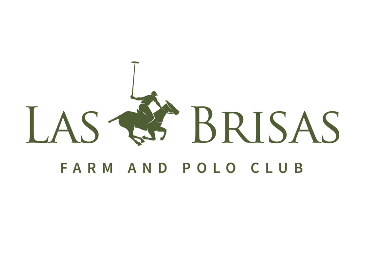 to LAS BRISAS POLO CLUB OF CHICAGO POLO+10