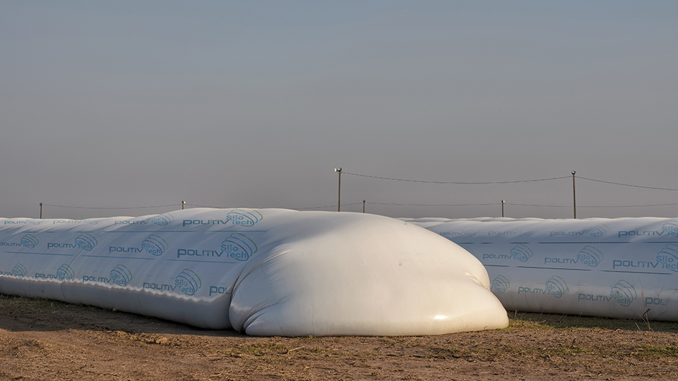 Silo Bags Polyhort