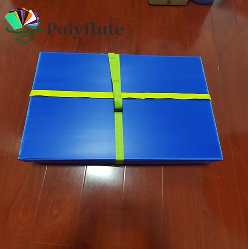 Custom Corrugated Plastic Pet Carrier China Manufacturer