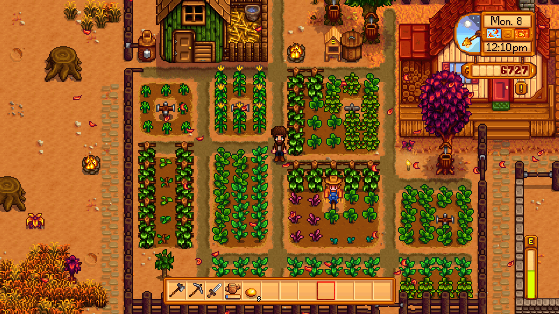 Stardew Valley, vis ma vie à la campagne Polygamer