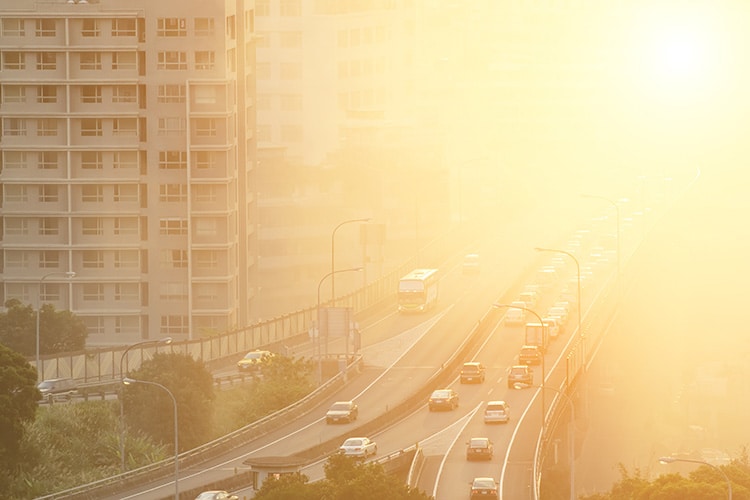 How to help clean up our air Polygiene Group