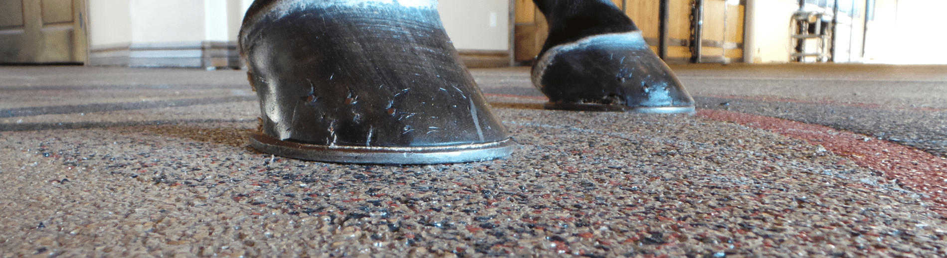 Polylast Responds to Brad Heath Double D Trailers Horse Trailer Flooring