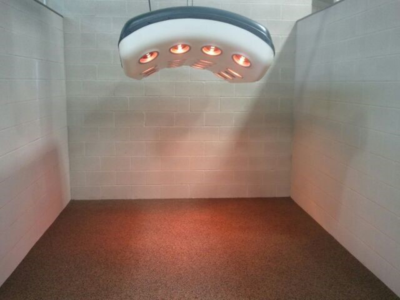 Polylast Veterinary Clinic Flooring Slip Resistant Antimicrobial Flooring