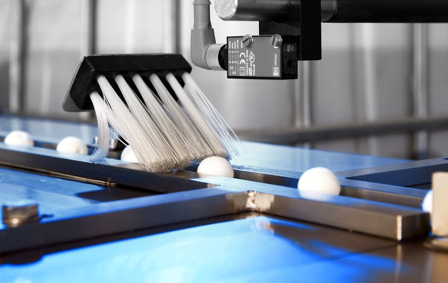 The Top 38 Plastic Ball Manufacturers