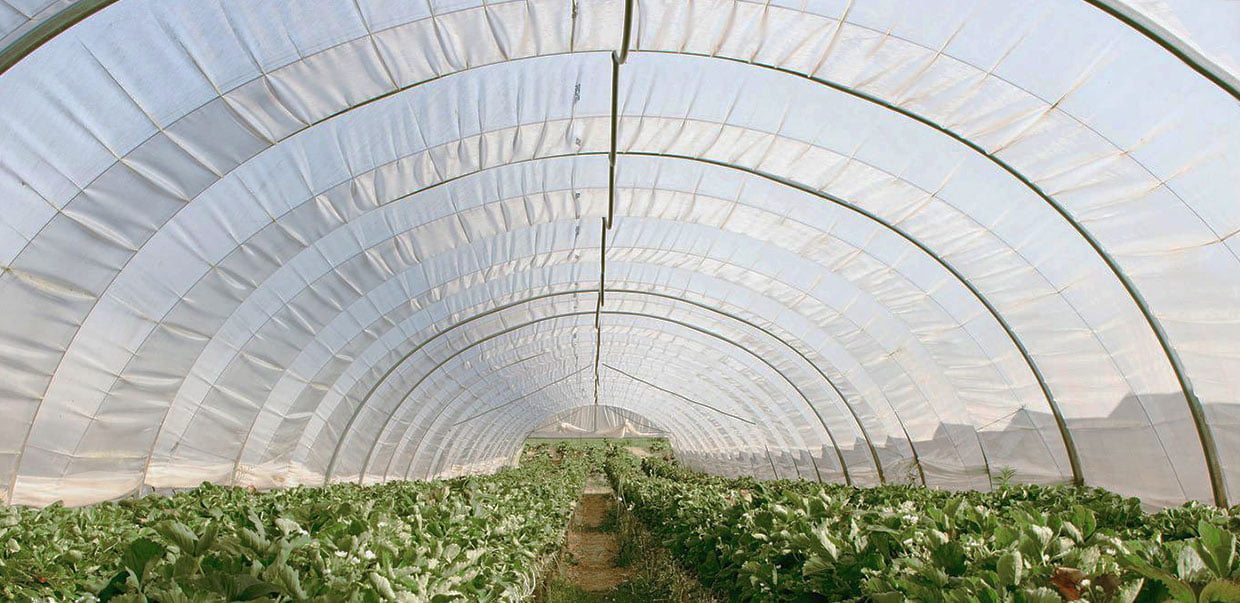 The Top 38 Plastic Recycling Companies