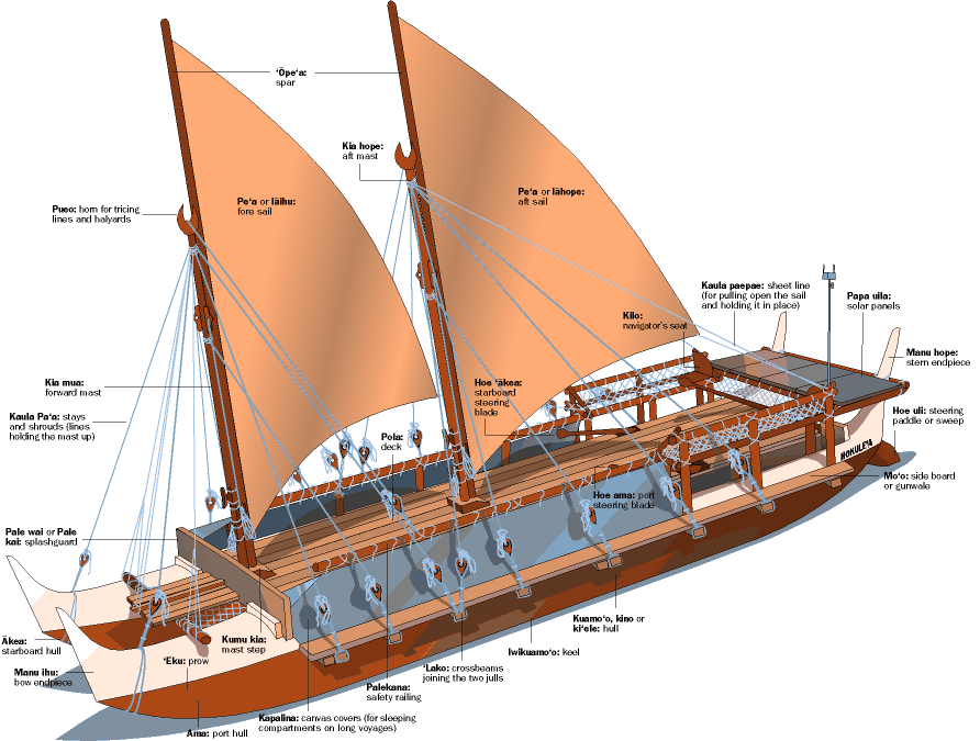 Polynesian ships