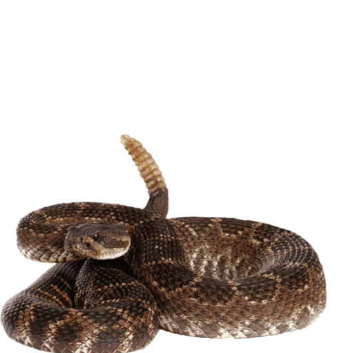 Common Applicator Problems SNAKES! PolySprayCoat