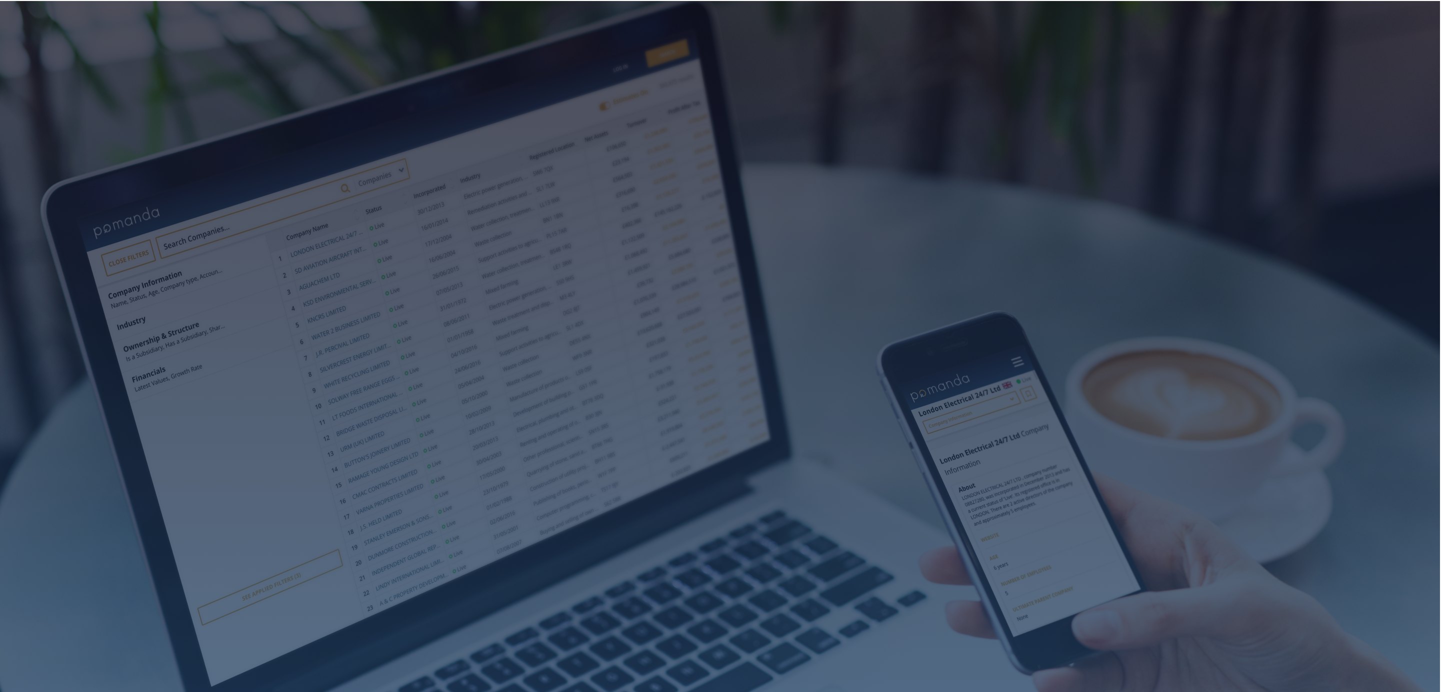 Nishanth Karayi (CRICKETEX LIMITED) Director Profile Pomanda