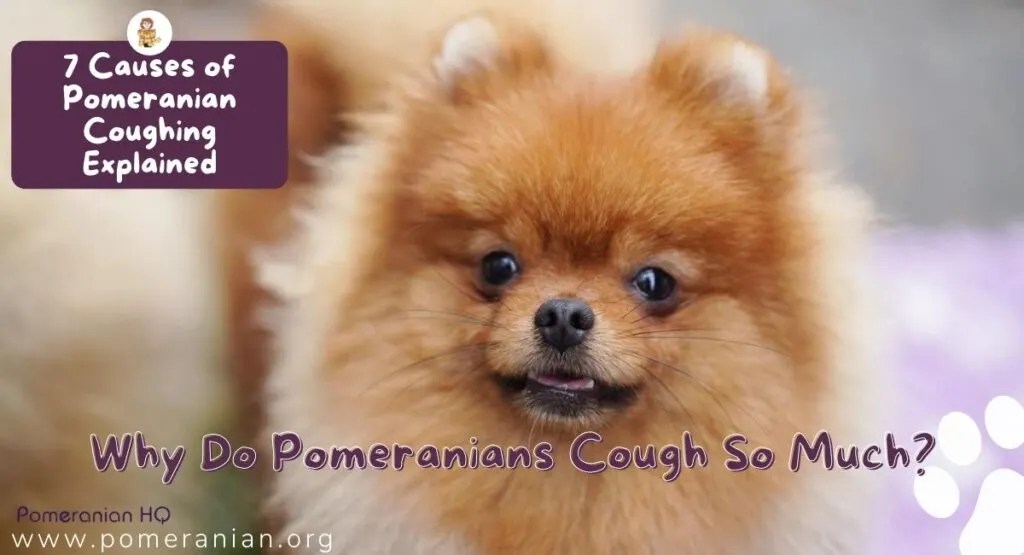 Can Worms Cause A Dog To Cough